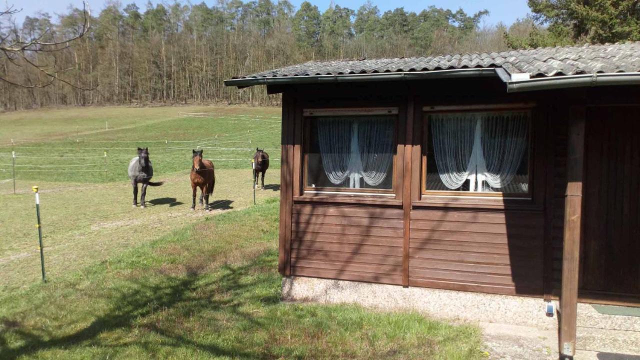 Апартаменты Reitstation Rossmuehle Grafendorf  Экстерьер фото